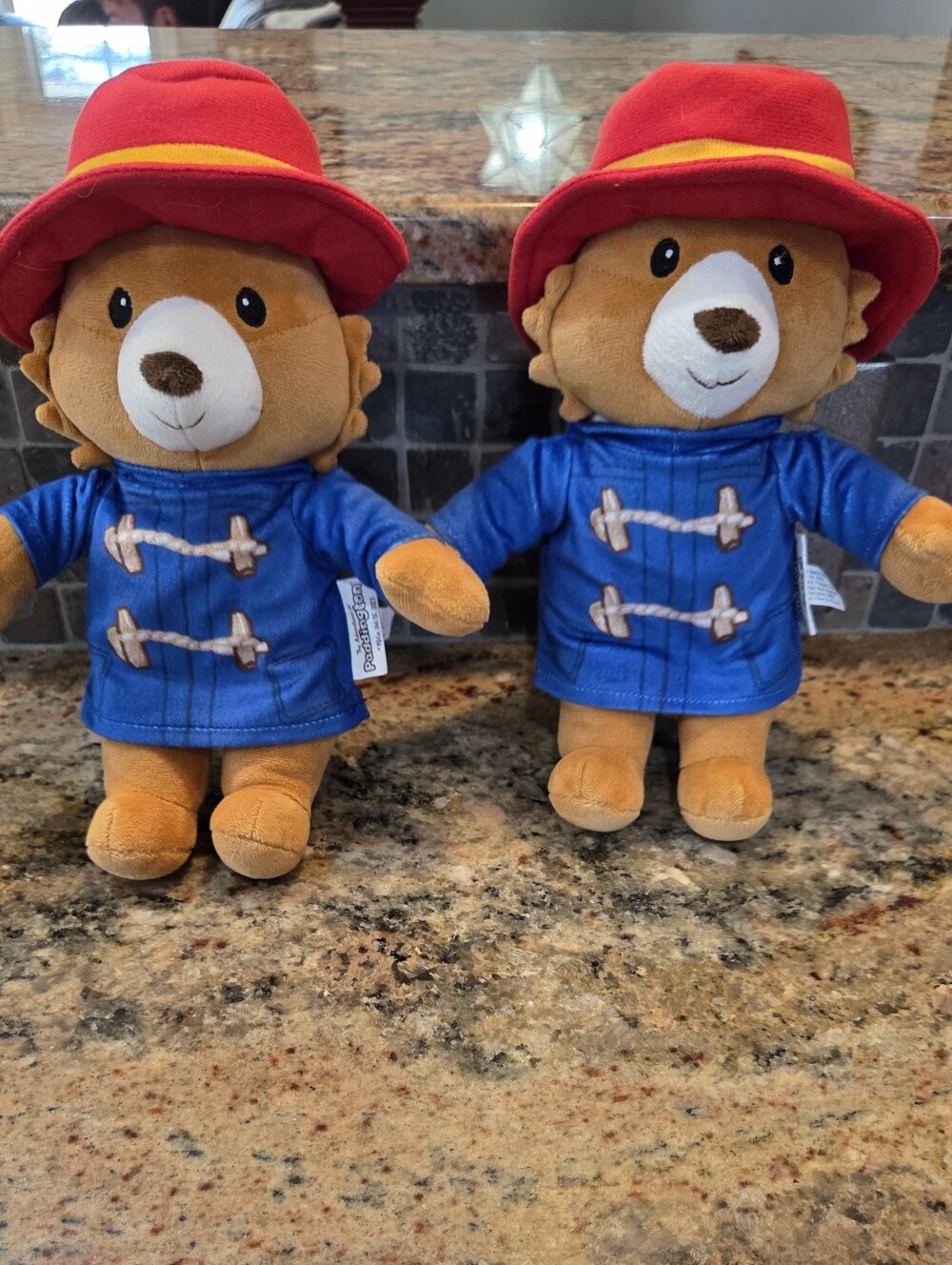 THE ADVENTURES OF PADDINGTON BEAR DOG PET TOY PLUSH SQUEAKER Set Of 2